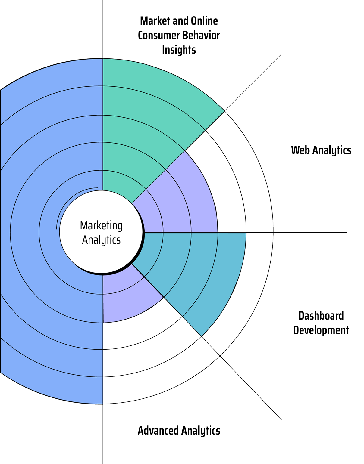 Radial chart of marketing analytics offerings.